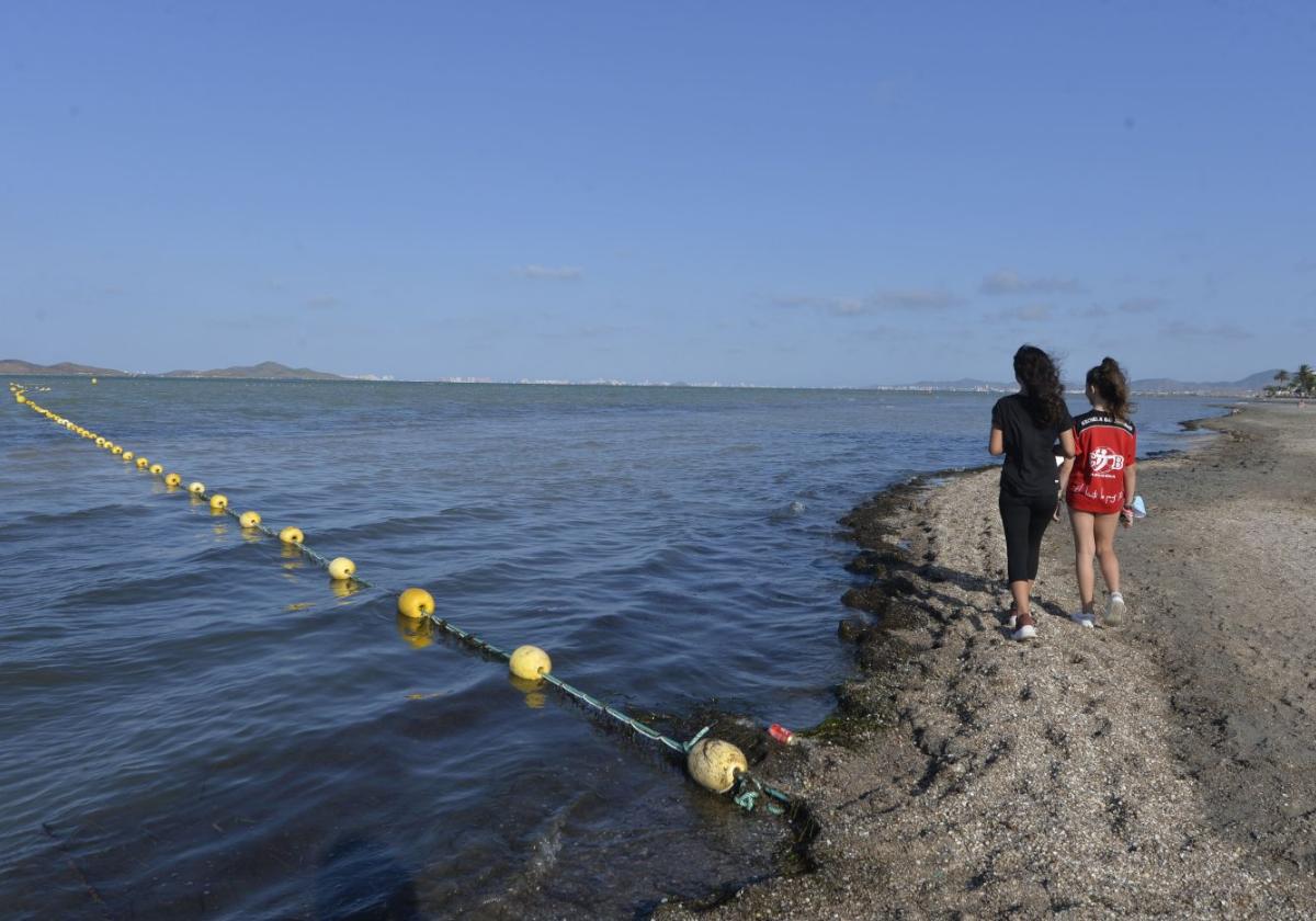 Red antimedusas en el Mar Menor, en una imagen de 2020.