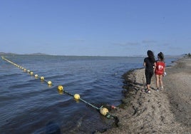 Red antimedusas en el Mar Menor, en una imagen de 2020.