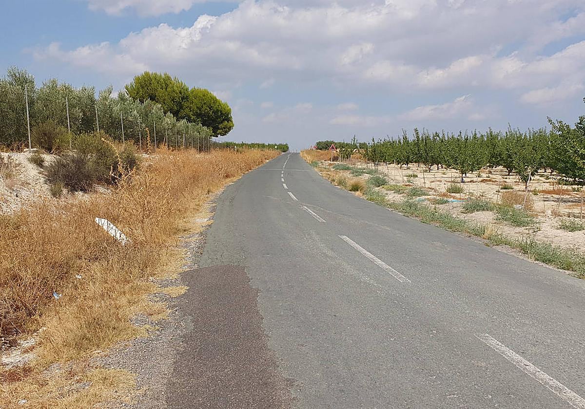 La carretera que conecta Alguazas y Campos del Río.