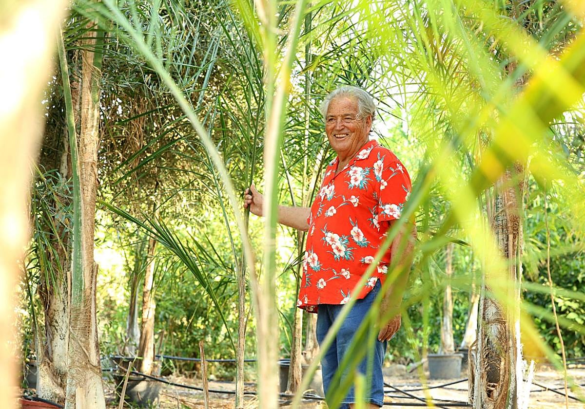 Su pasión. Paco Serrano, entre algunas de las plantas de su vivero, donde también tiene su casa.