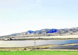 Vista aérea del parque fotovoltaico de Carril Solar.