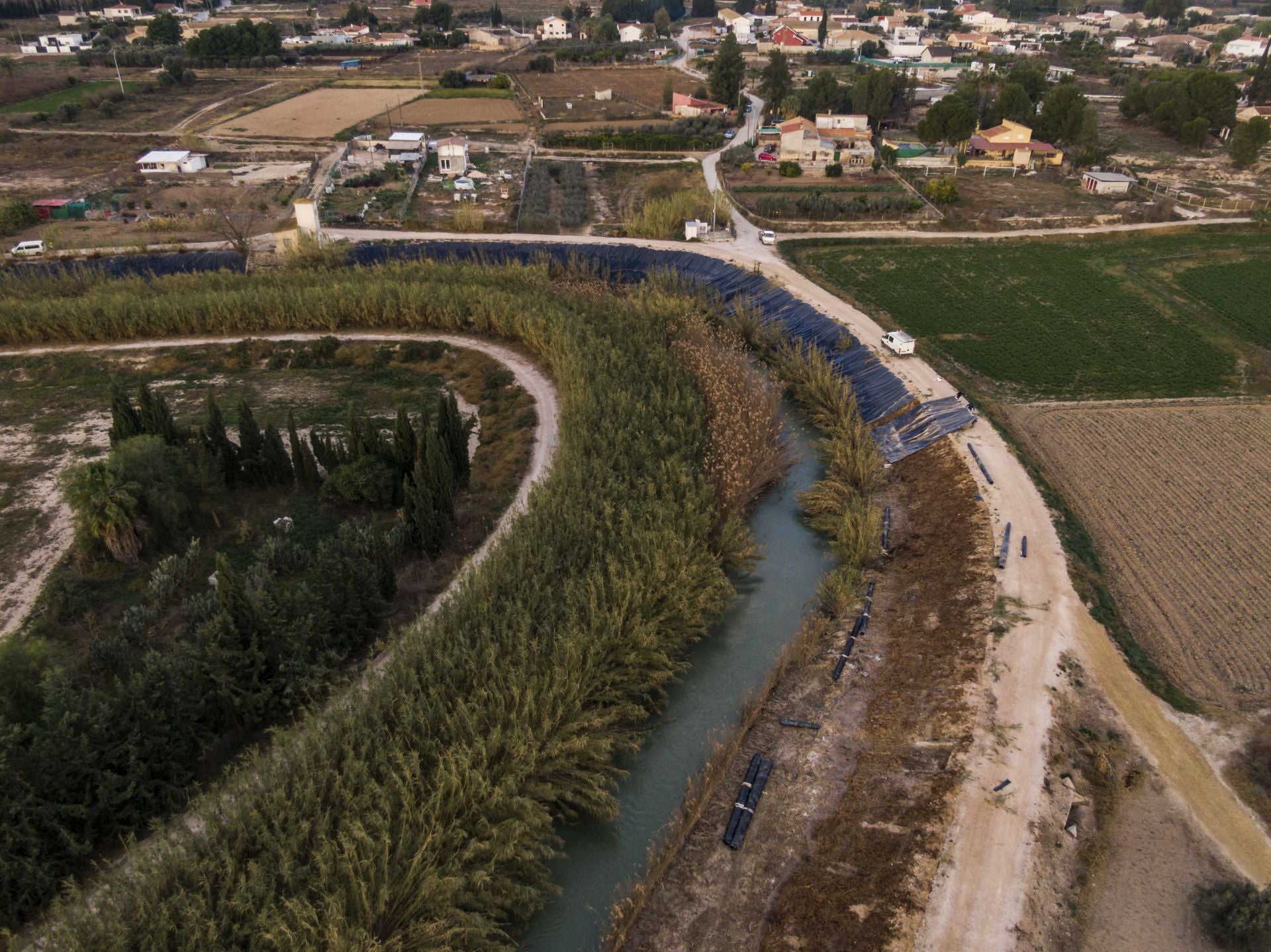 Recuperación de árboles y arbustos de ribera a lo largo del río Segura, en imágenes