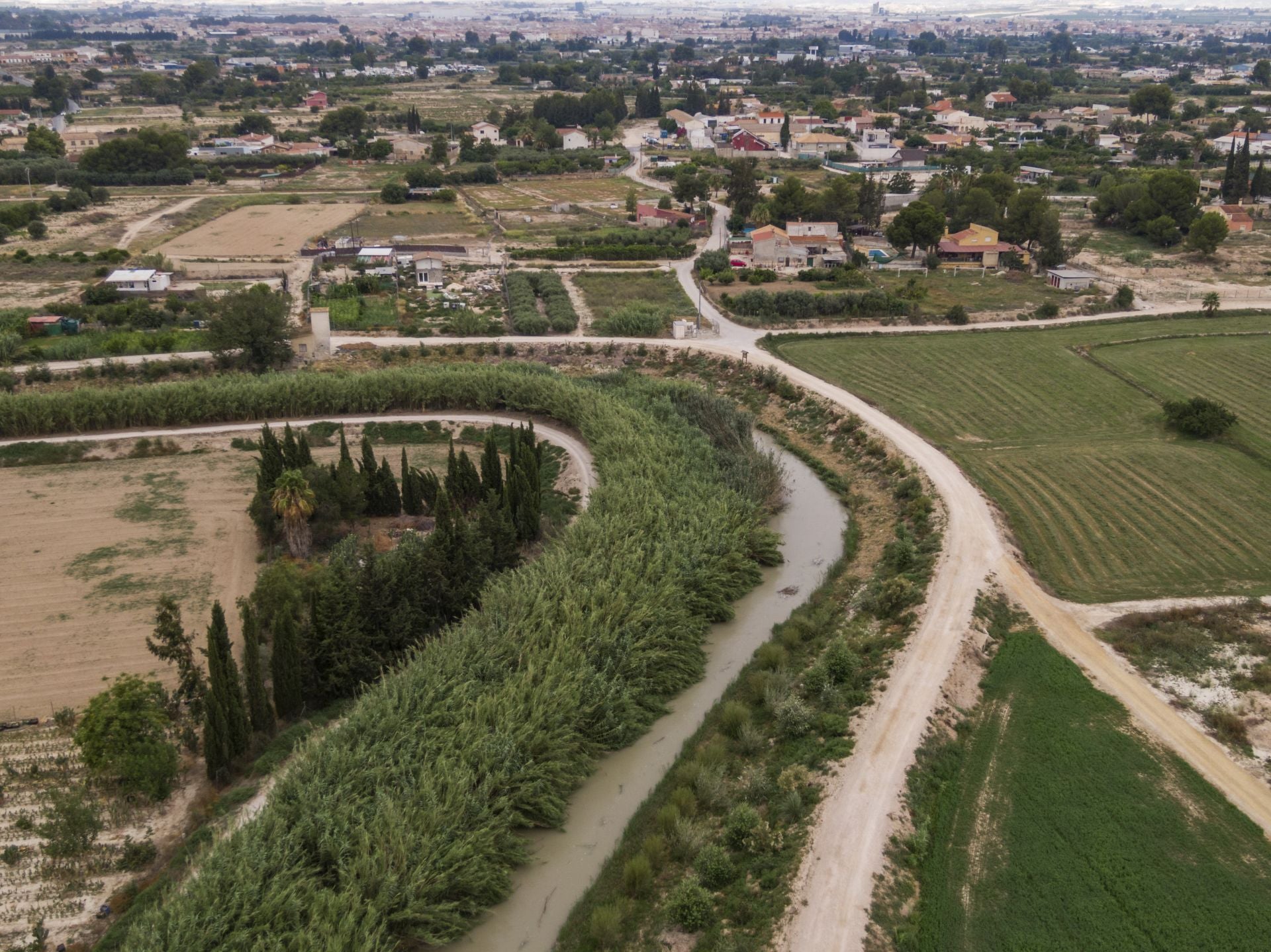 Recuperación de árboles y arbustos de ribera a lo largo del río Segura, en imágenes