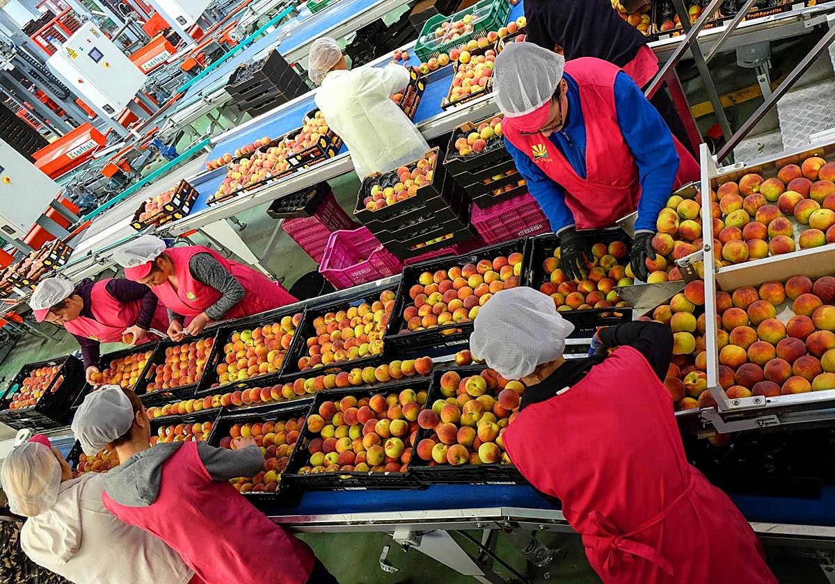 Los trabajadores pueden pedir el complemento para la reducción de la brecha de género en su pensión.