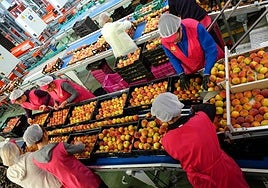 Los trabajadores pueden pedir el complemento para la reducción de la brecha de género en su pensión.