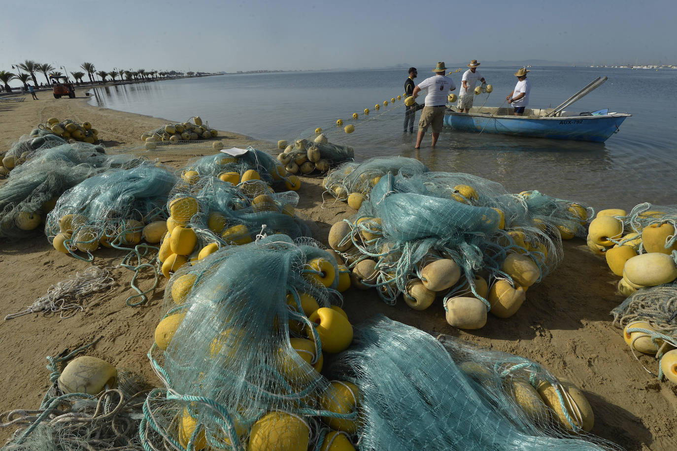 Las redes antimedusas colocadas en el Mar Menor, en imágenes