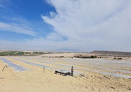 Terrenos roturados en el paraje de Cañadas del Romero, en Mazarrón.