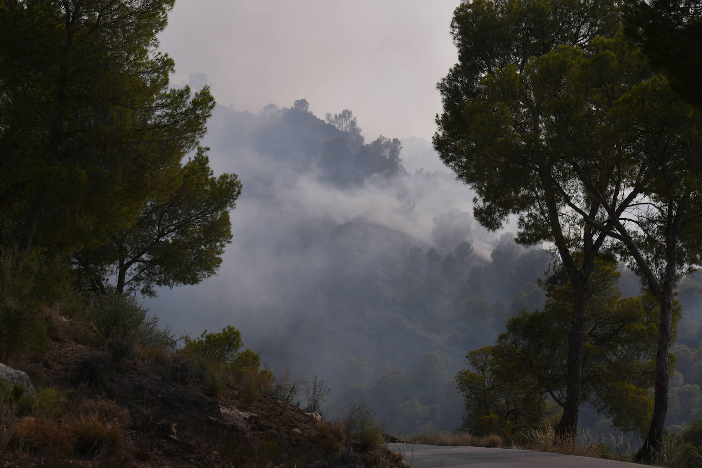 Un incendio en El Valle devora varias hectáreas de monte