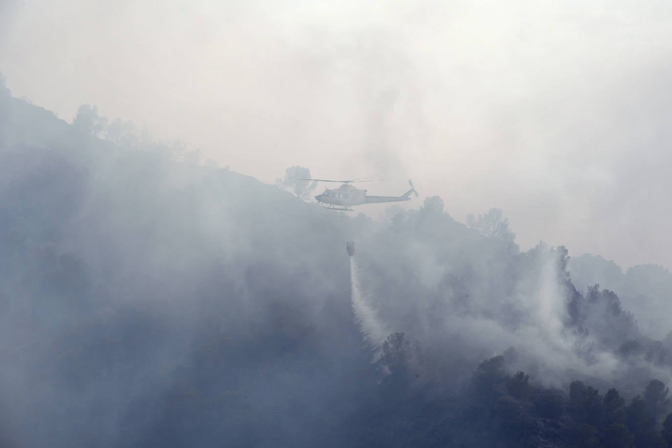 Un incendio en El Valle devora varias hectáreas de monte