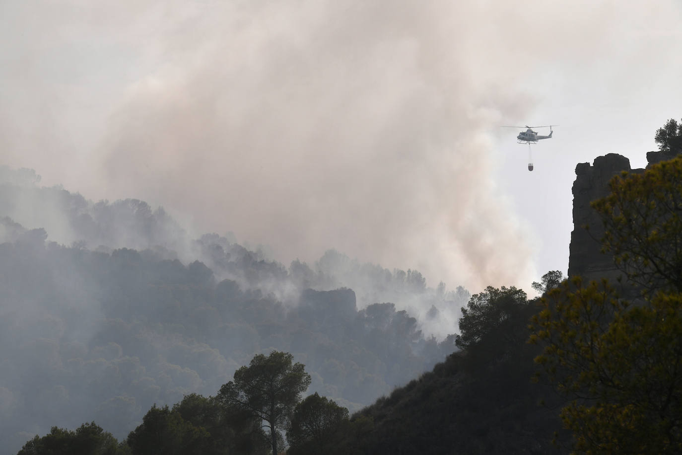 Un incendio en El Valle devora varias hectáreas de monte