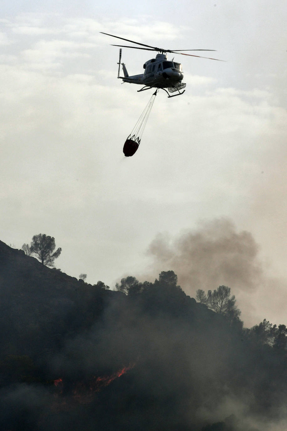 Un incendio en El Valle devora varias hectáreas de monte
