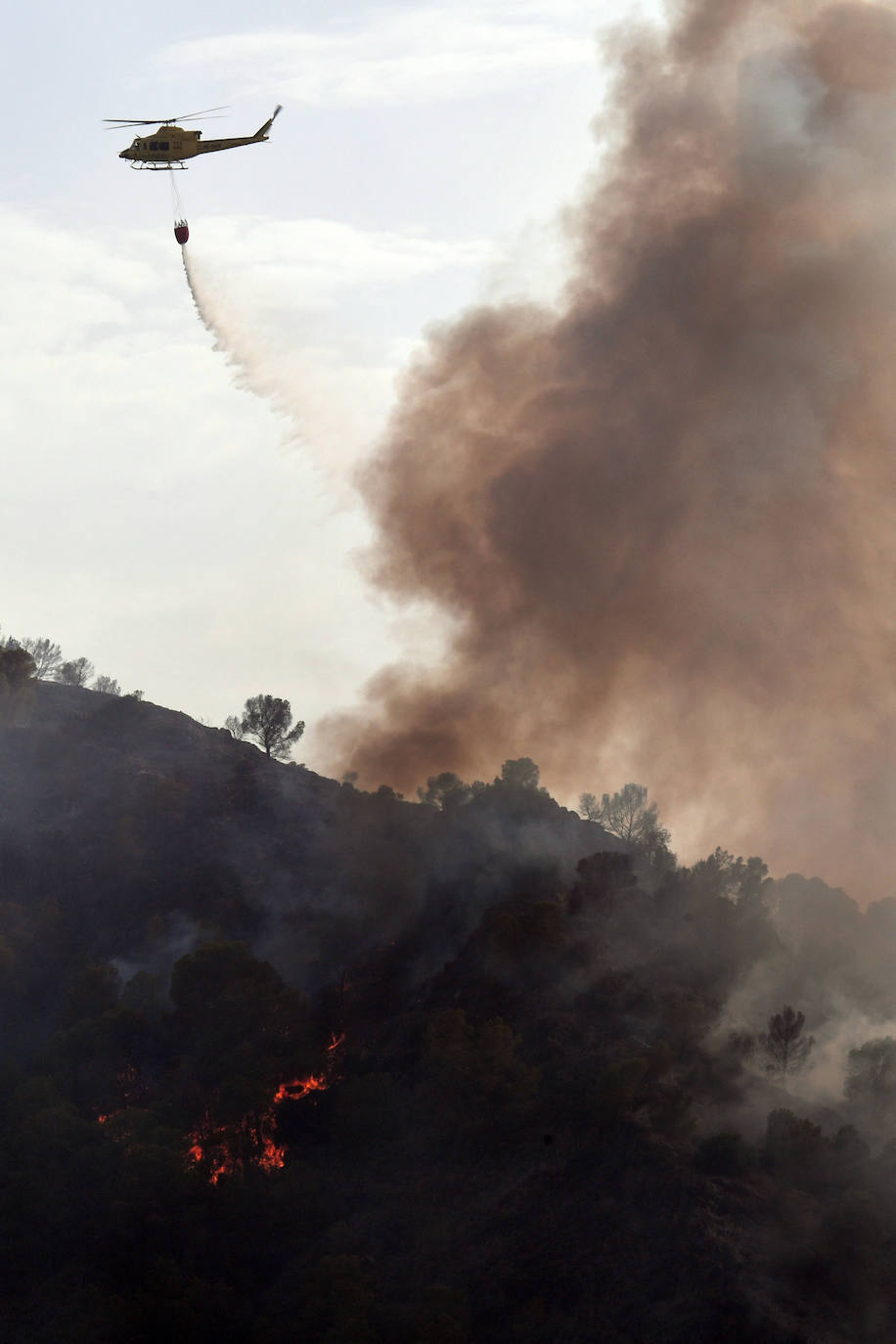 Un incendio en El Valle devora varias hectáreas de monte