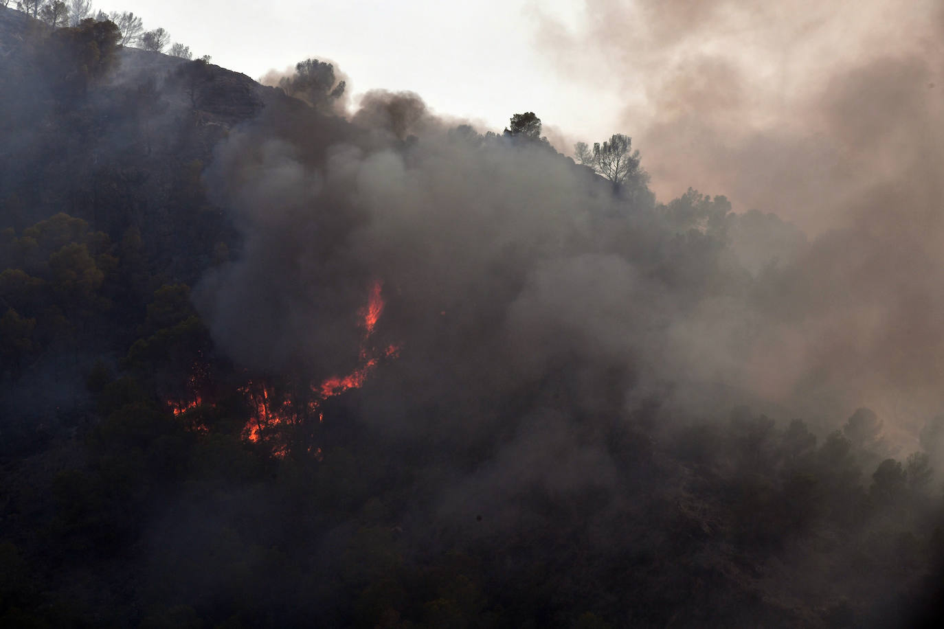 Un incendio en El Valle devora varias hectáreas de monte