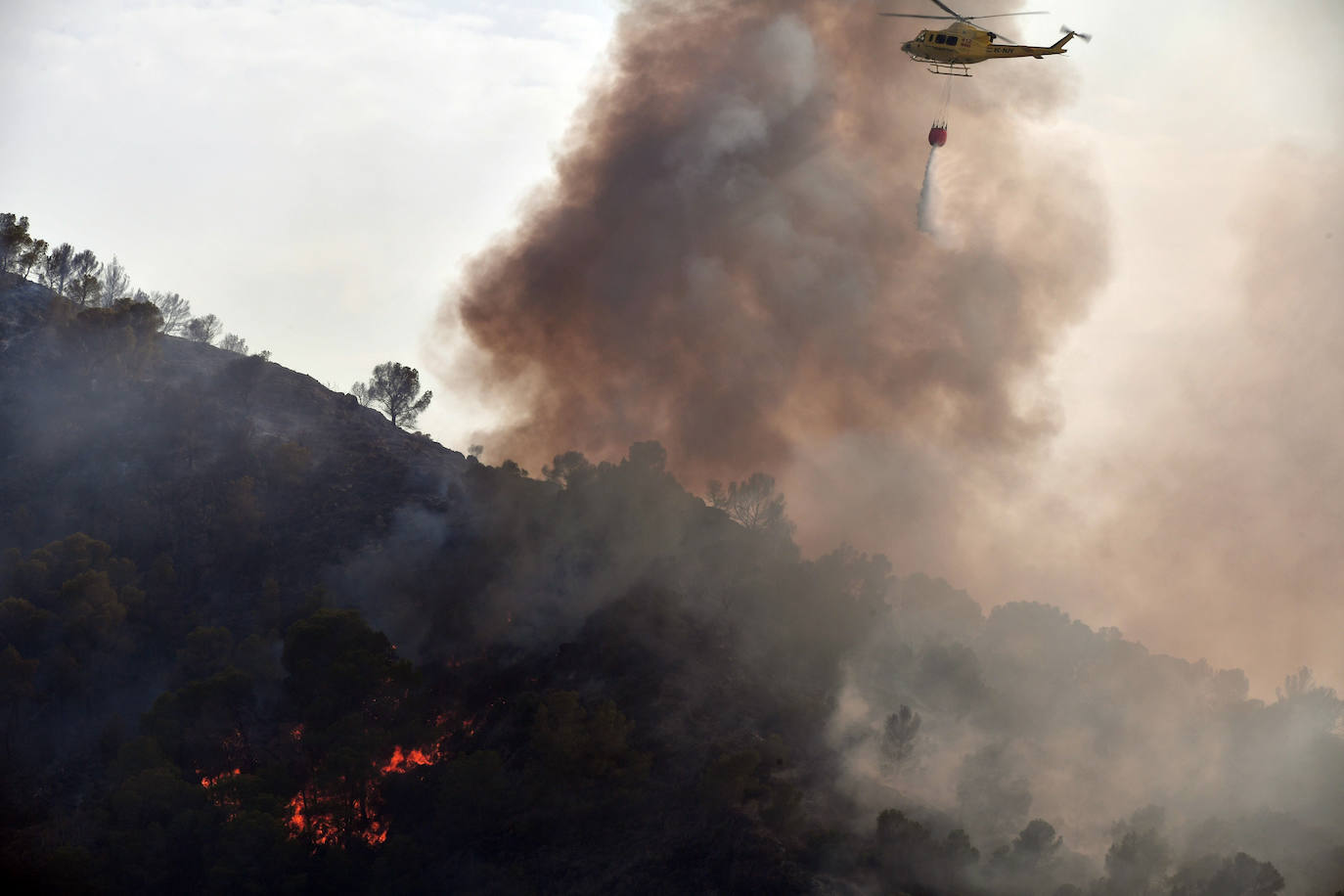 Un incendio en El Valle devora varias hectáreas de monte