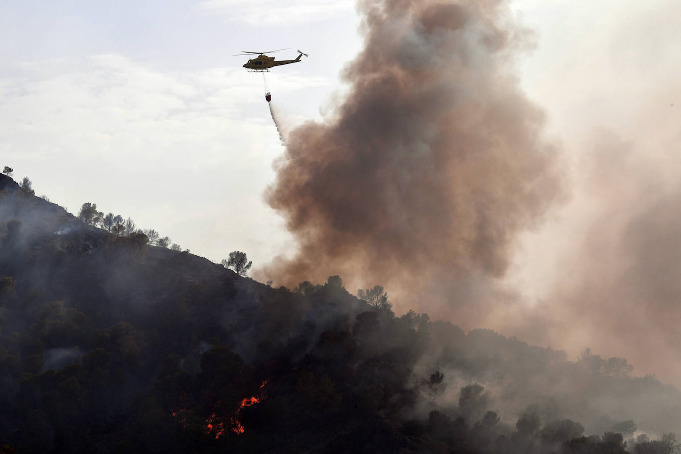 Un incendio en El Valle devora varias hectáreas de monte