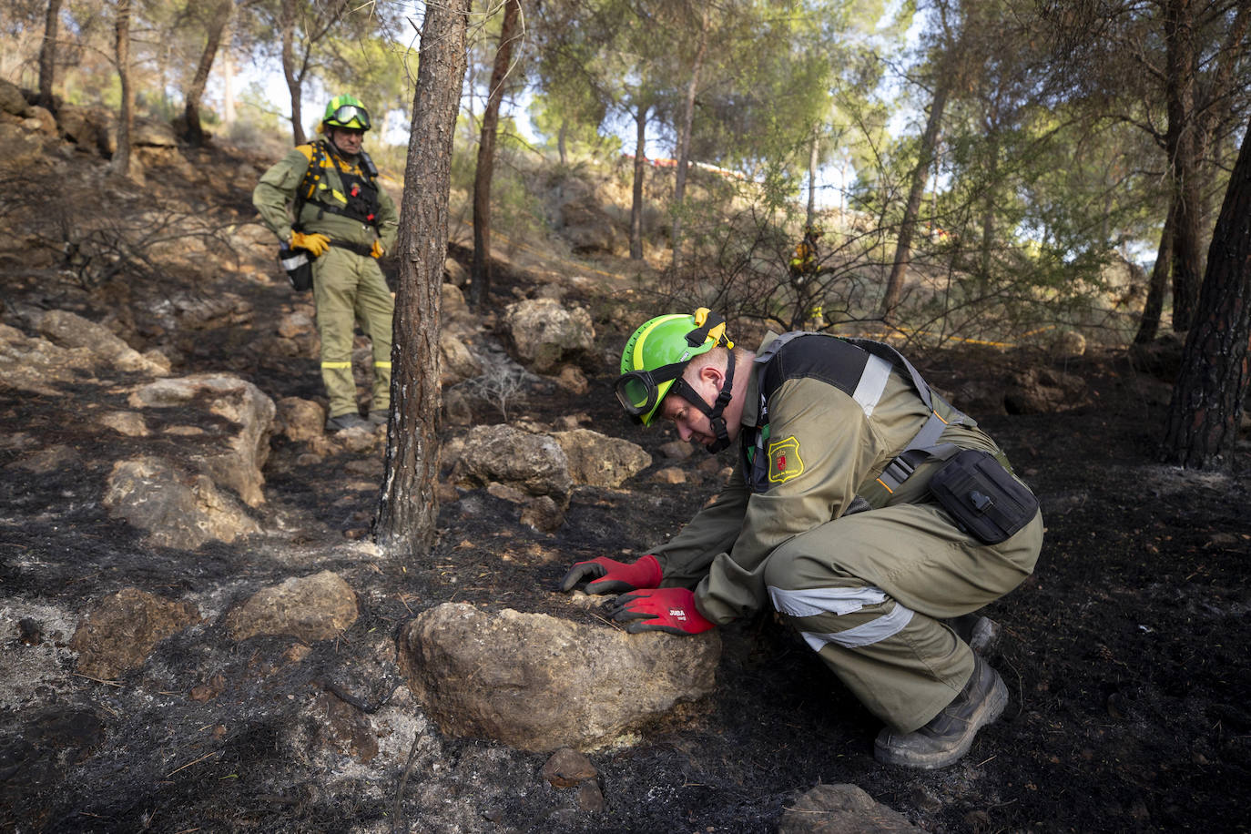 Un incendio en El Valle devora varias hectáreas de monte