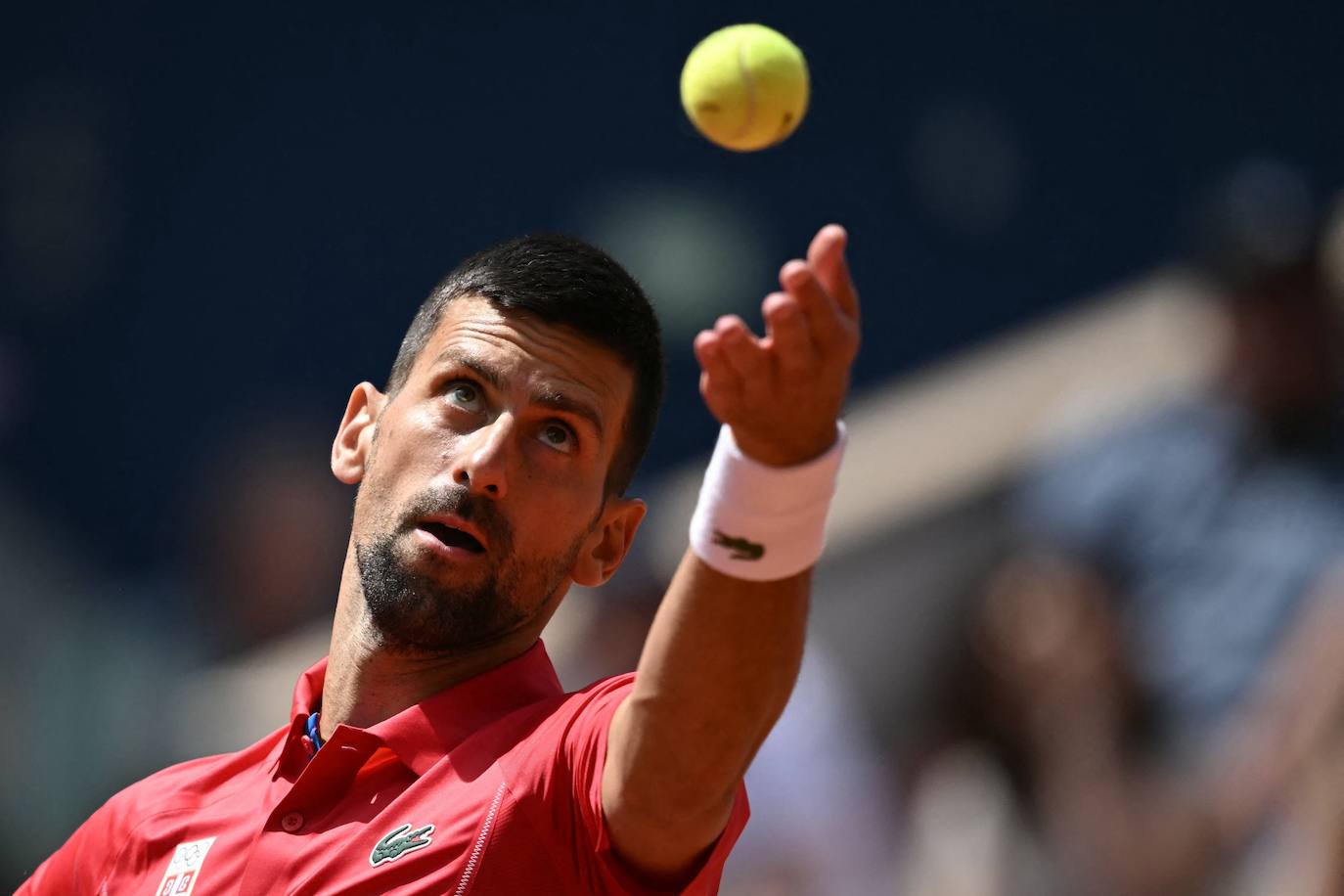 En imágenes, la final de tenis en los Juegos Olímpicos entre Carlos Alcaraz y Novak Djokovic