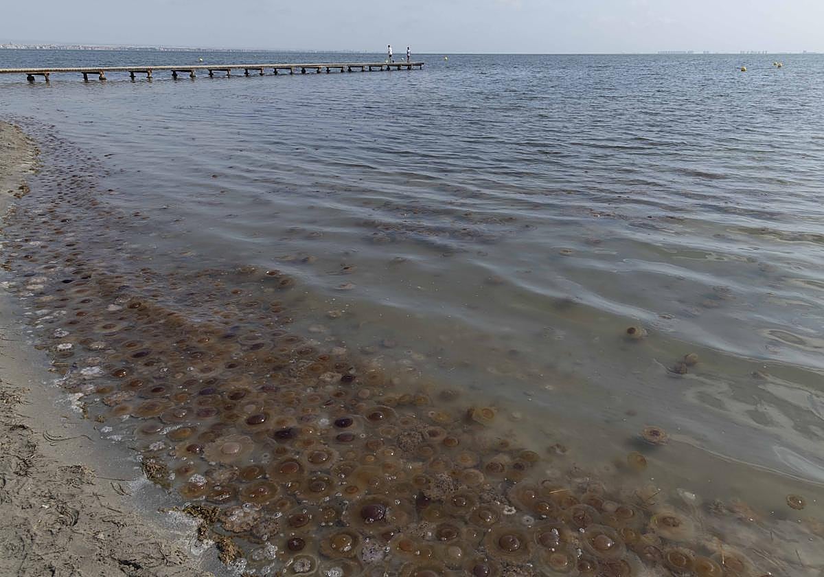 El agua lo sabe todo