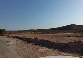 Imagen de la parcela ya despejada.