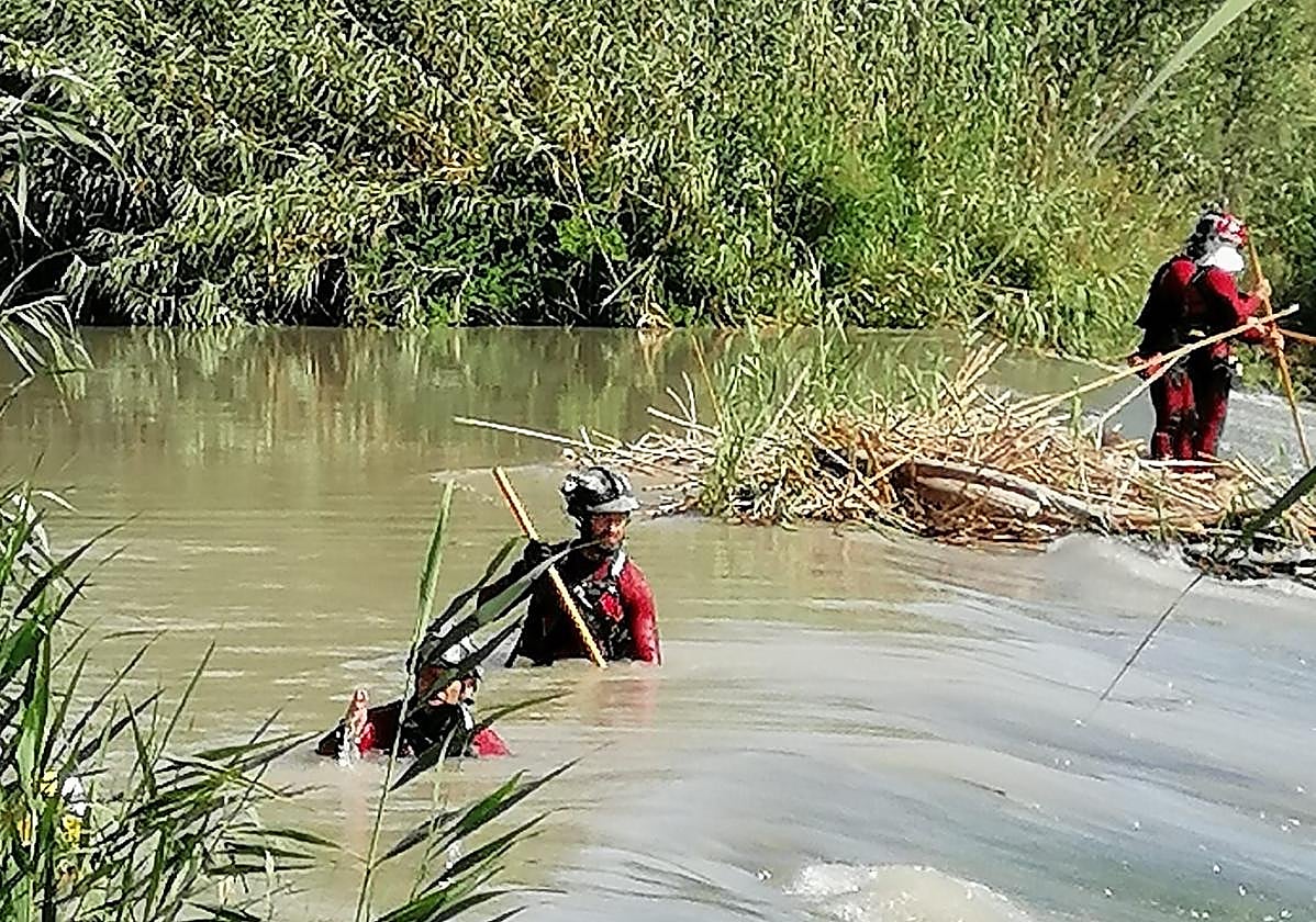 Bomberos buscan en el cauce del río Segura en Archena, este martes.