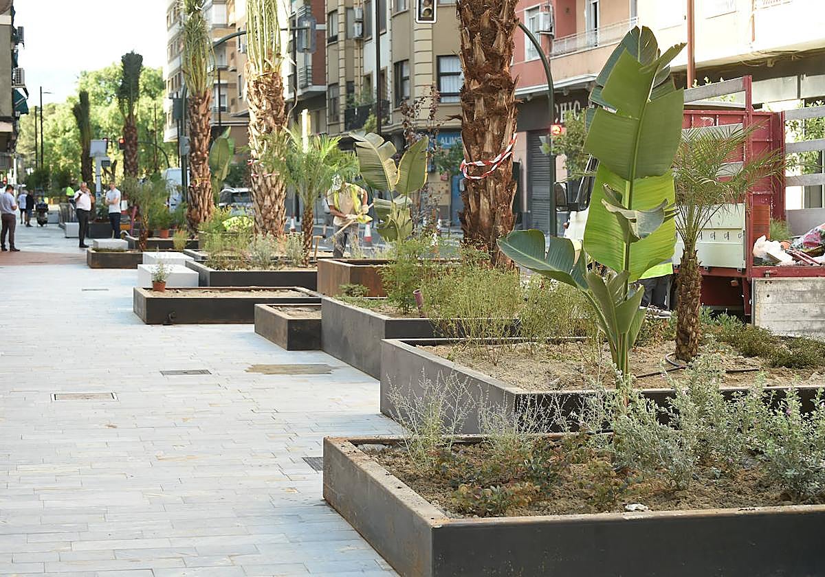 Una zona del Corredor Verde en San Antolín.