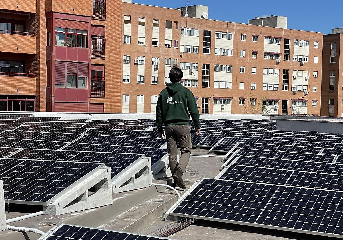 Un técnico de Iberdrola camina junto a unas placas solares.