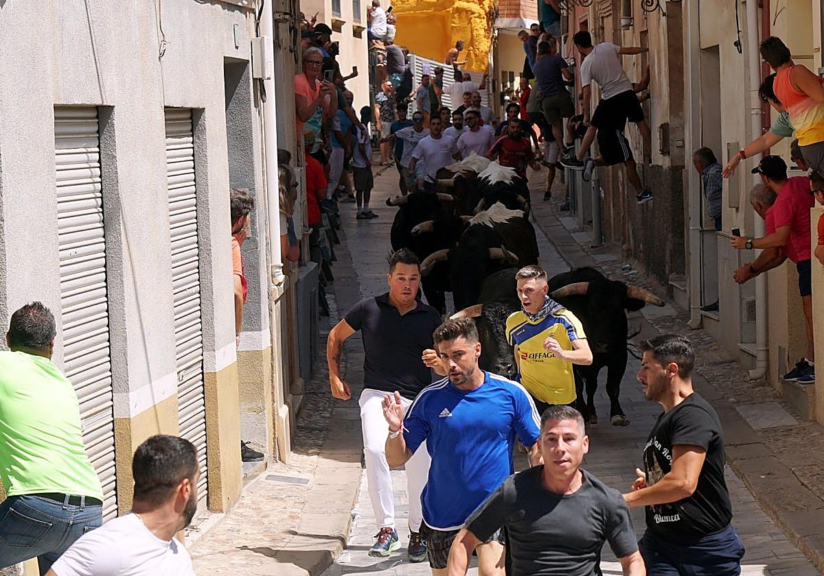 Varios jóvenes corren delante de los novillos en el primer encierro de las fiestas de Blanca.