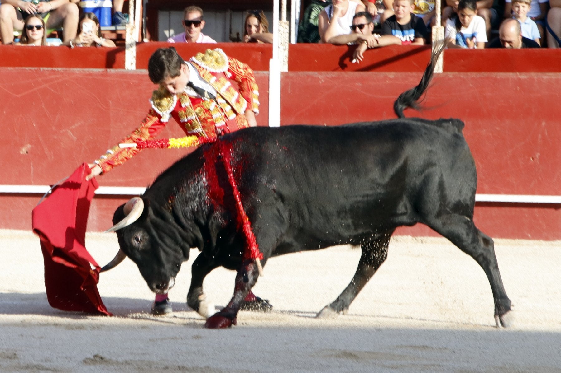 Miguelito da un pase al toro al natural.