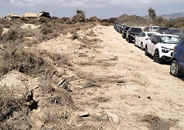 Vegetación alterada en Cuatro Calas para ampliar el acceso.