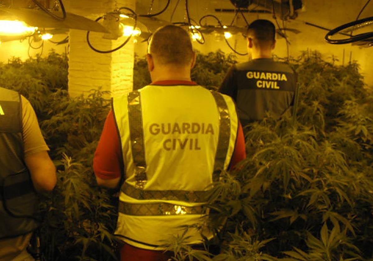 Efectivos de la Guardia Civil durante la operación.