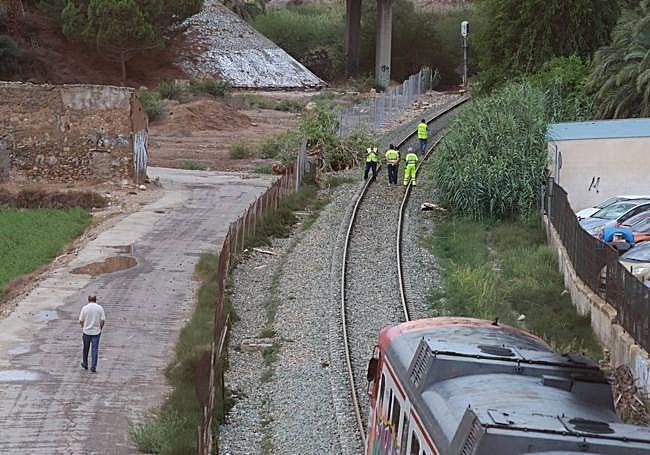 Técnicos inspeccionan la zona en la que ha caído el árbol.