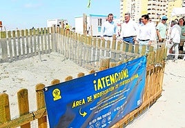 Los consejeros Vázquez y Martínez, y el alcalde Luengo, junto al nido de La Manga.