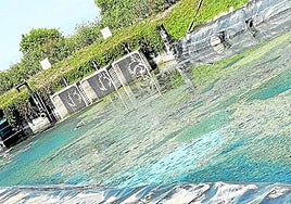 Imagen reciente del lago decorativo de Condado de Alhama.