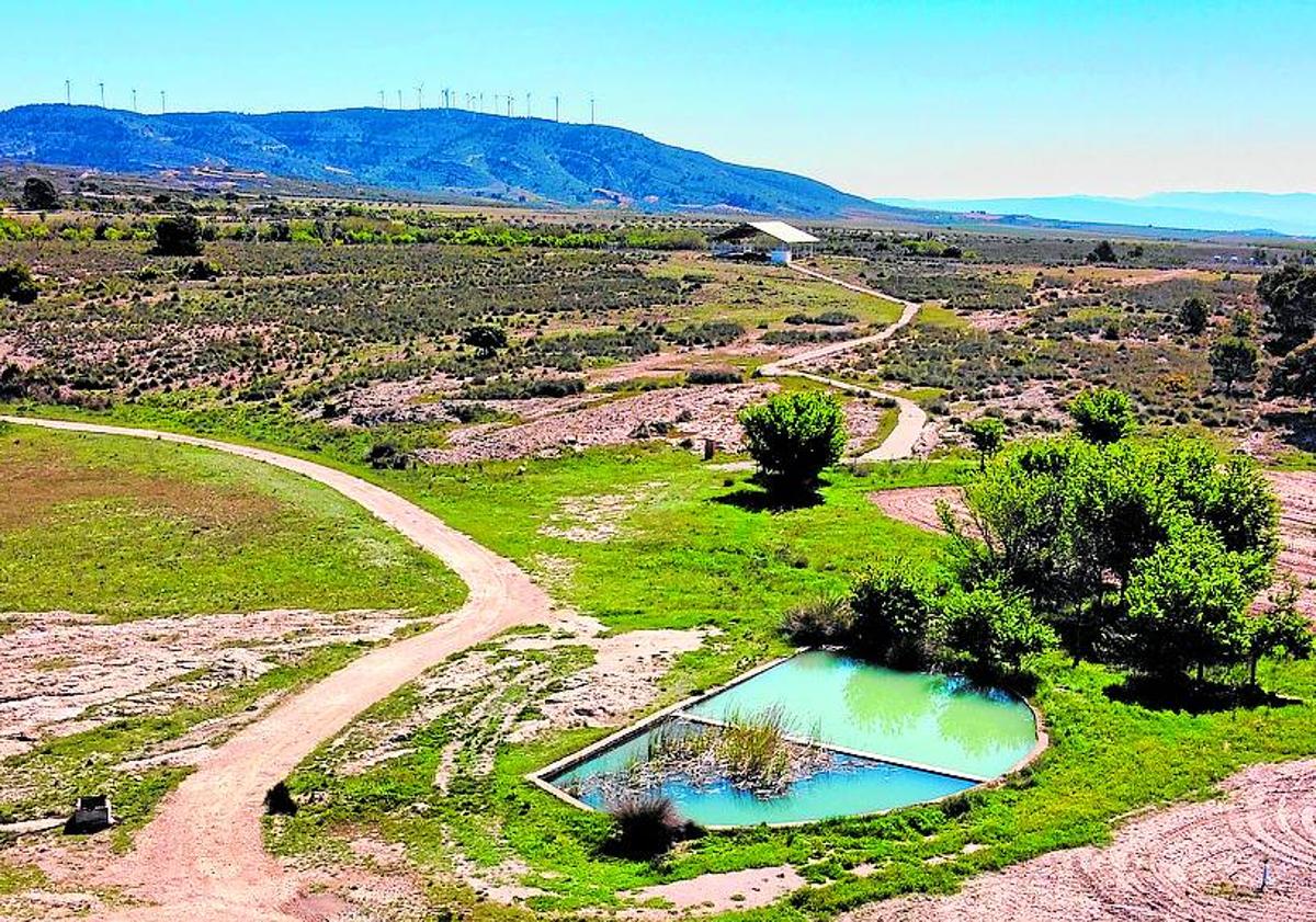 Imagen principal - Fuente del Pinar: Lacus Vinarium