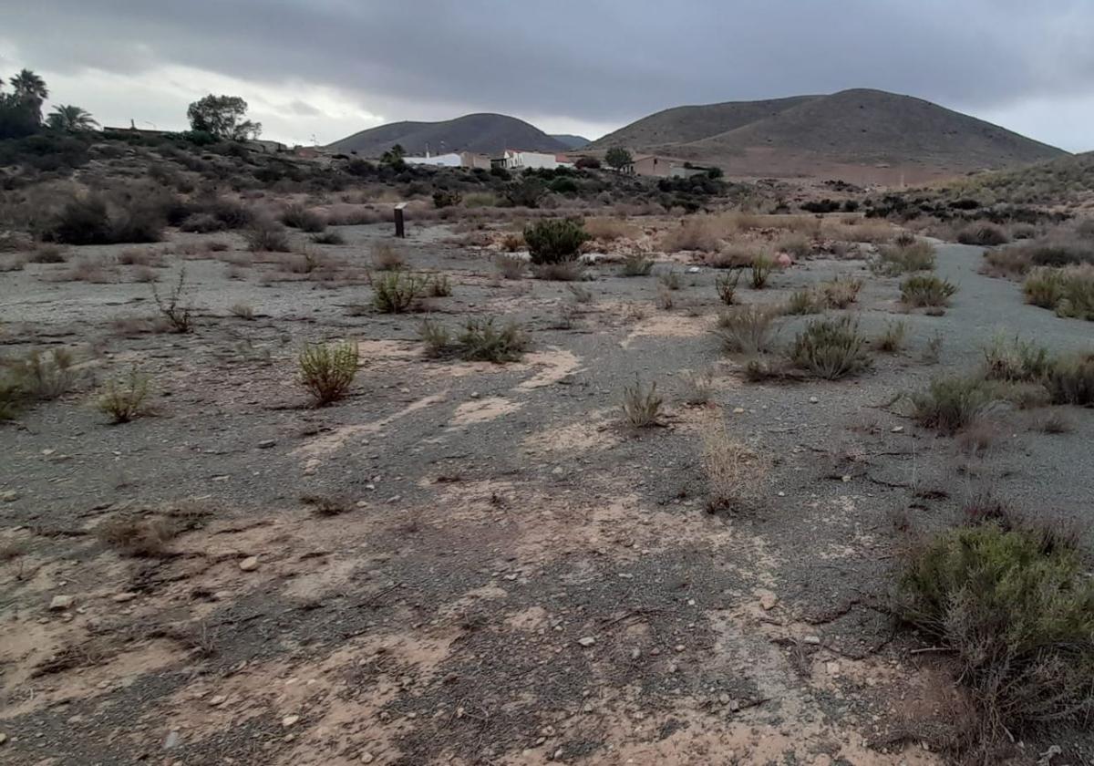 El yacimiento argárico el 'Rincón de Almendricos', en Lorca, víctima de una desidia histórica