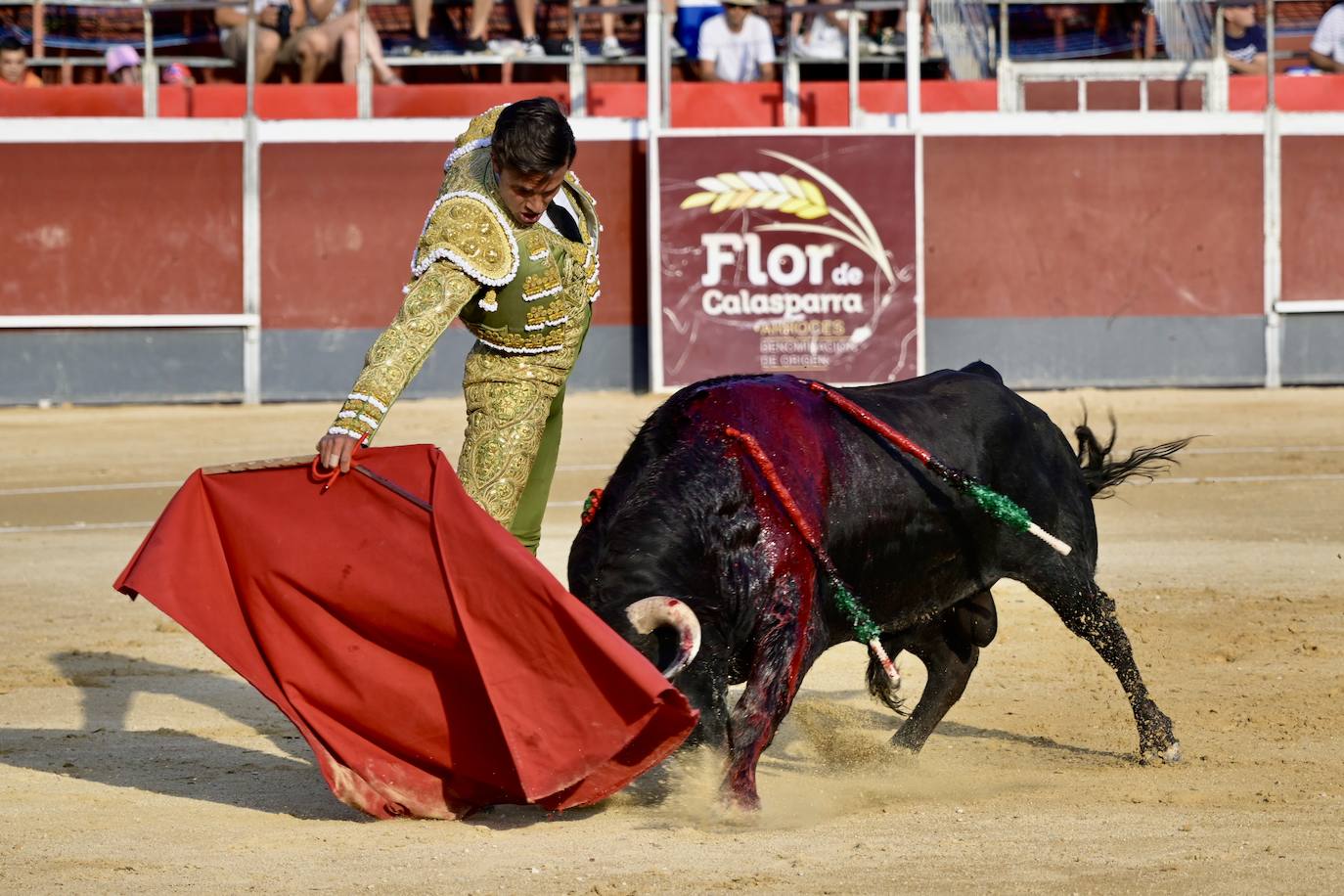 Las imágenes de la corrida de la Feria del Arroz de Calasparra