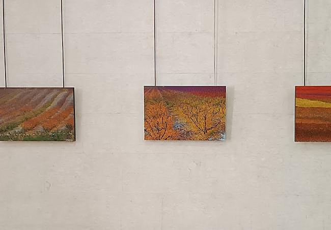 'Otoño de los frutales'. Exposición de Fernando Galindo en el Museo Siyâsa.