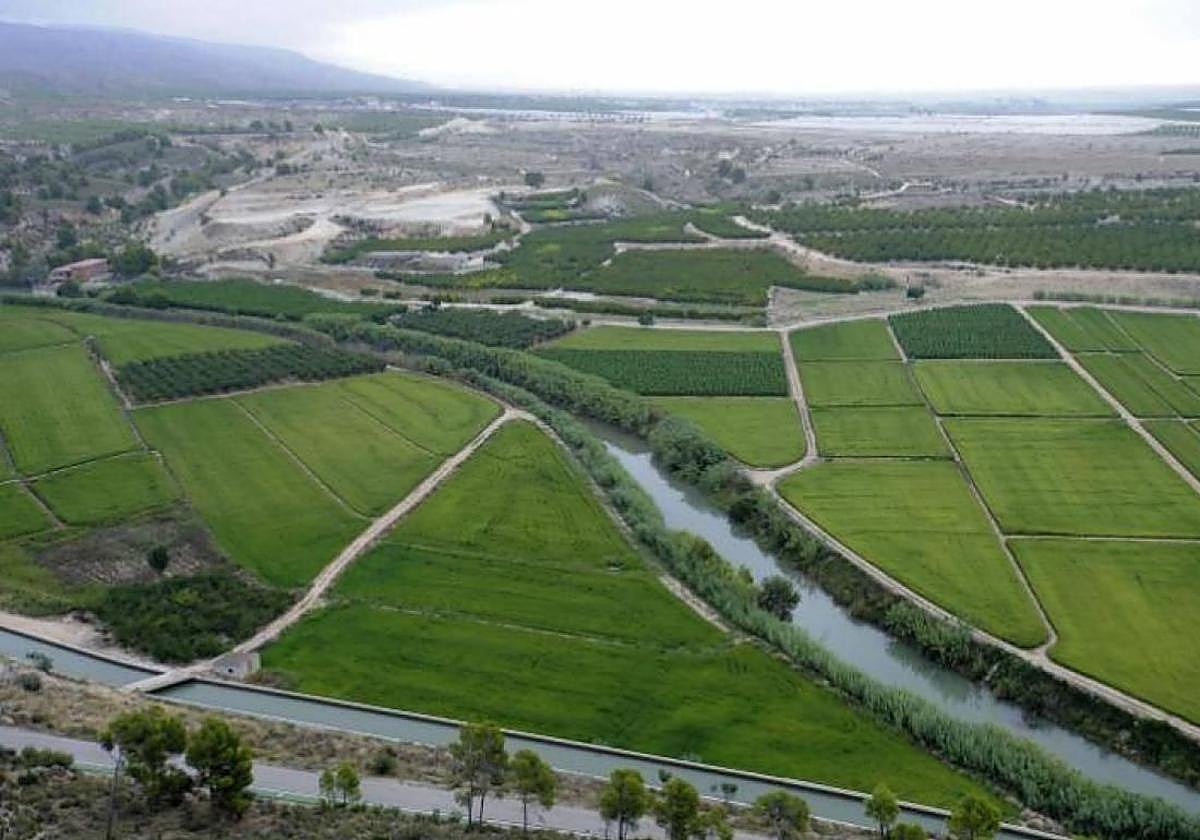 Imagen de archivo de campos de cultivo de arroz en Calasparra.