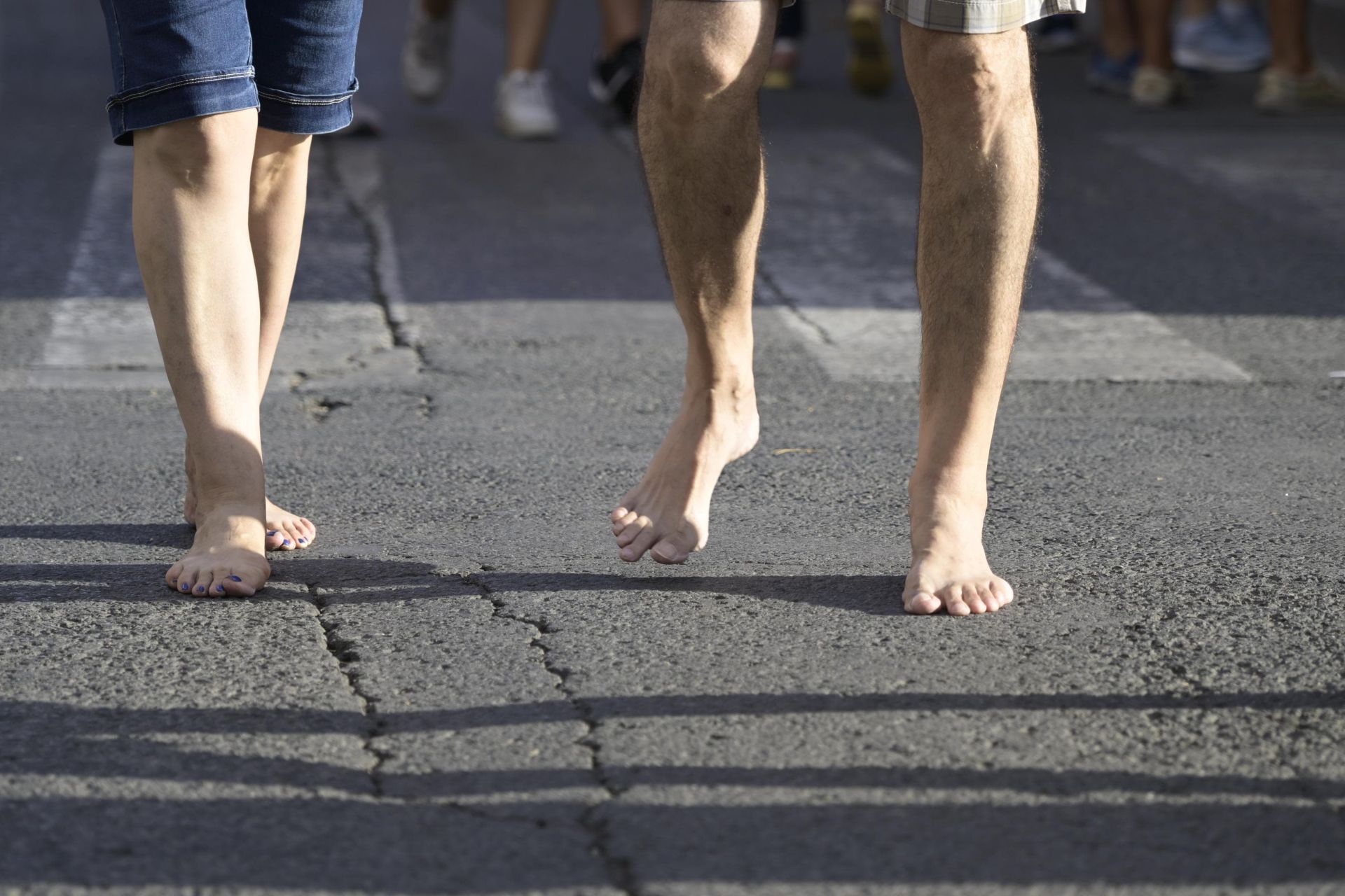 La bajada de la Virgen de la Fuensanta a la Catedral de Murcia, en imágenes