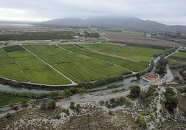 Vista aérea del río Segura y del coto arrocero al noroeste de la Región, que abarca Calasparra y parte de Hellín (Albatece).