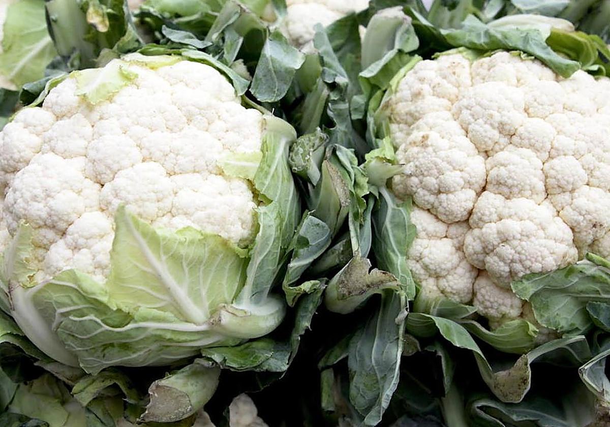 La coliflor se solía conocer popularmente como pava en Murcia.