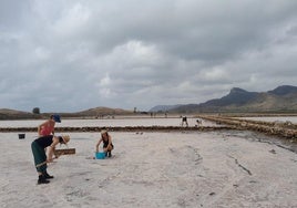 Voluntarios de la Asociación Calblanque, en agosto durante la recogida simbólica de sal en las salinas del Rasall.