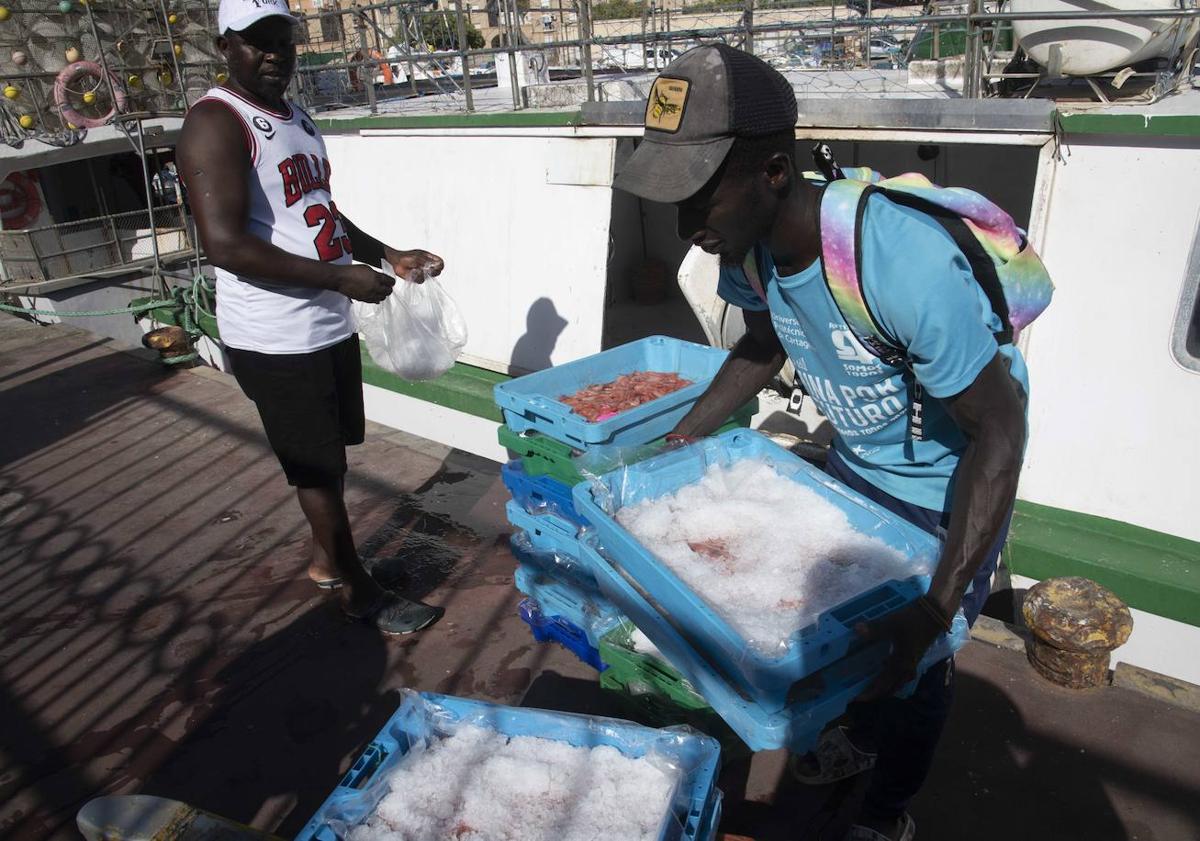 Imagen principal - Varios pescadores preparan las cajas de pescado para la subasta de la tarde. 