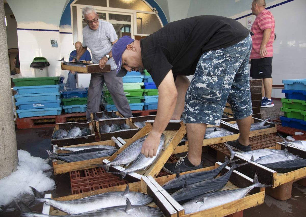 Imagen secundaria 1 - Varios pescadores preparan las cajas de pescado para la subasta de la tarde. 