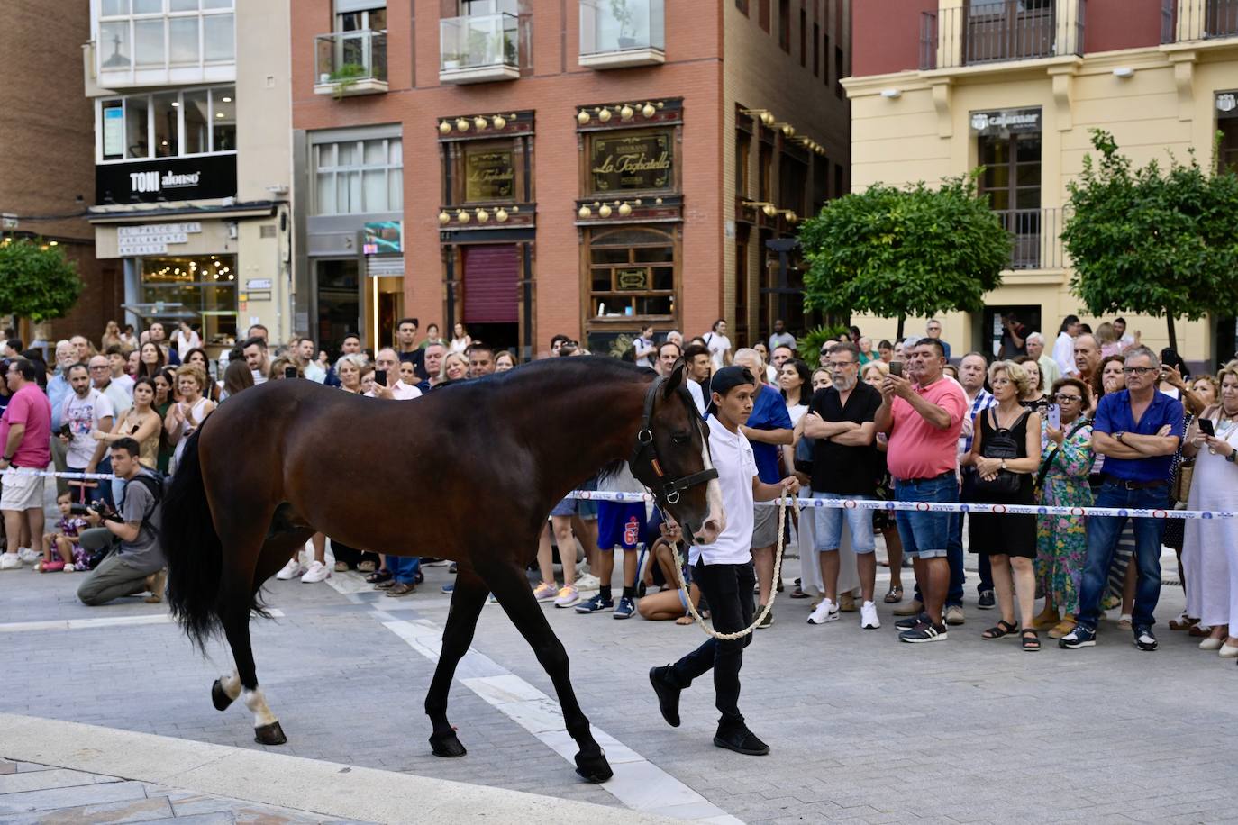 Presentación de la cuadra de Andy Cartagena en Murcia