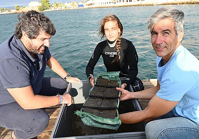 La extracción del primer trozo recuperado del barco fenicio, este viernes, en Mazarrón.