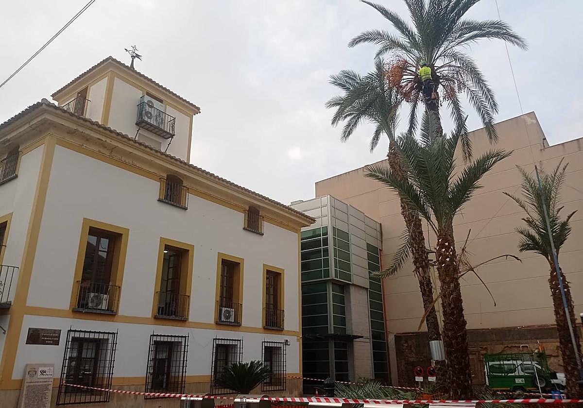 Ayuntamiento de Archena