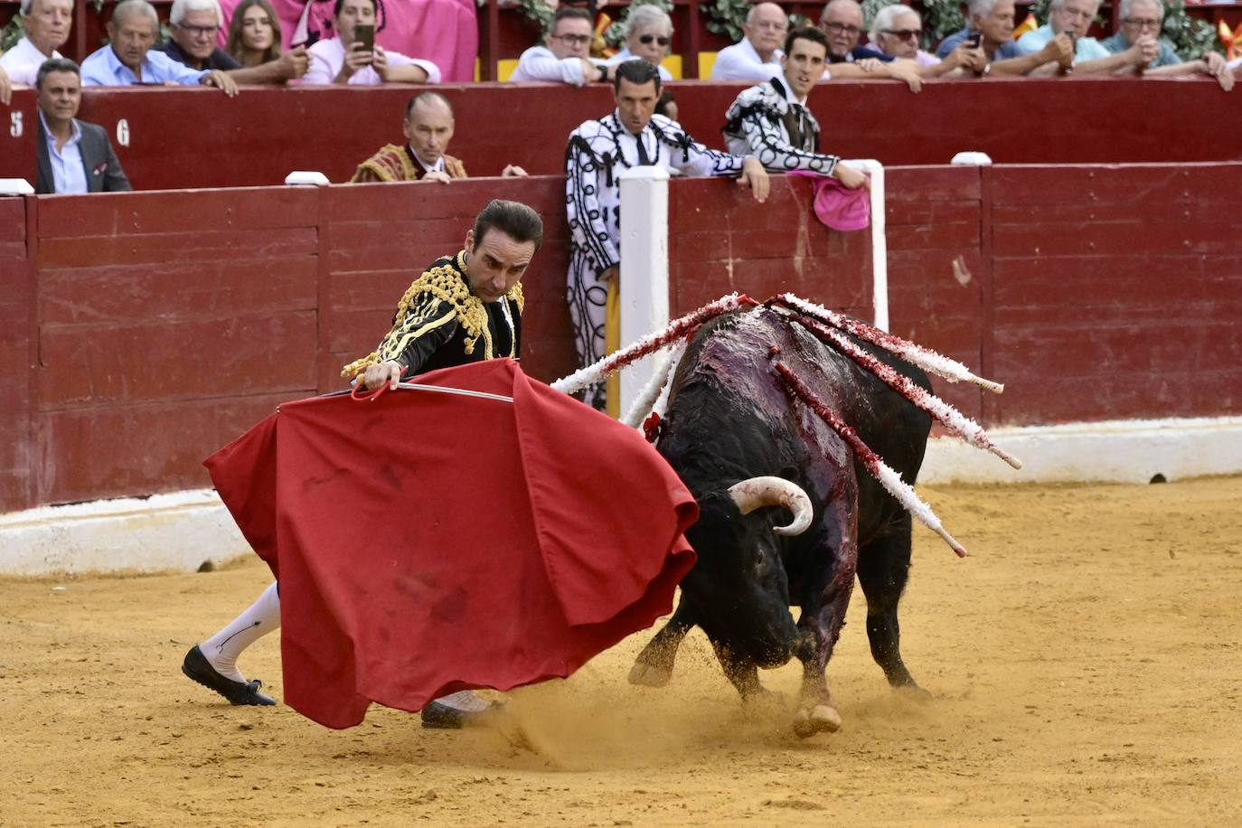 Las imágenes de la corrida goyesca en Murcia