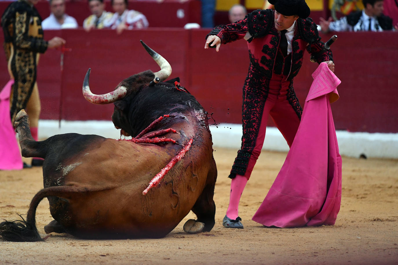 Las imágenes de la corrida de la Romería en Murcia