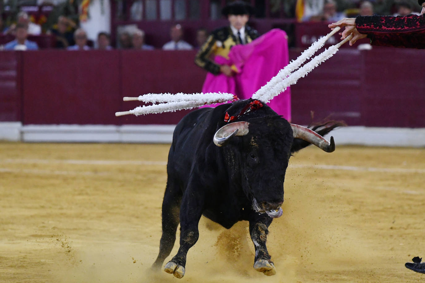 Las imágenes de la corrida de la Romería en Murcia